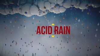 acid rain