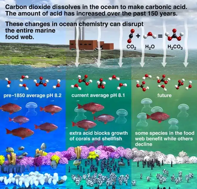 How pH affects aquatic life