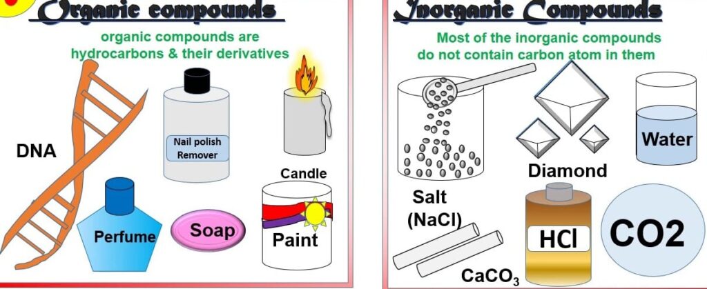 difference between inorganic and organic chemistry