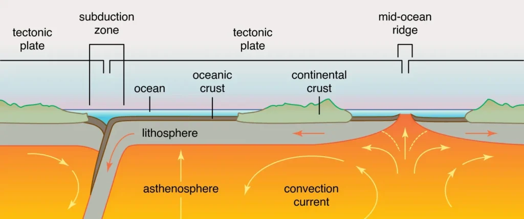 Structure of the Earth's lithosphere 