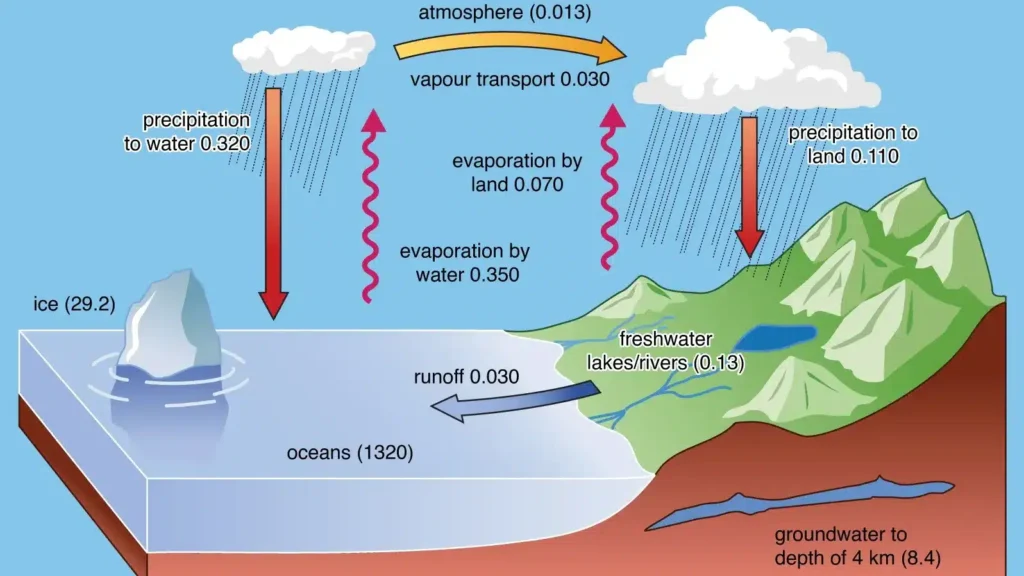 water cycle