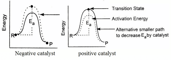 positive and negative catalyst