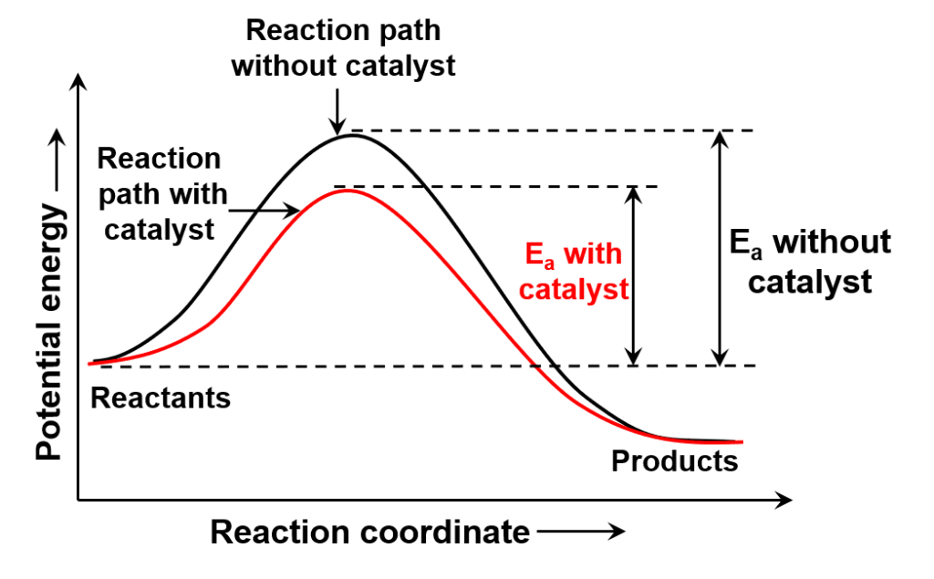 negative catalyst