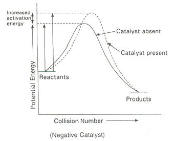 positive catalyst