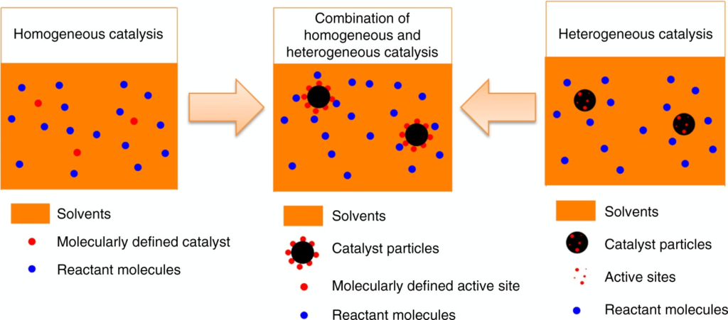 types of catalysts