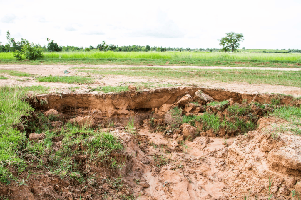 effects of soil pollution