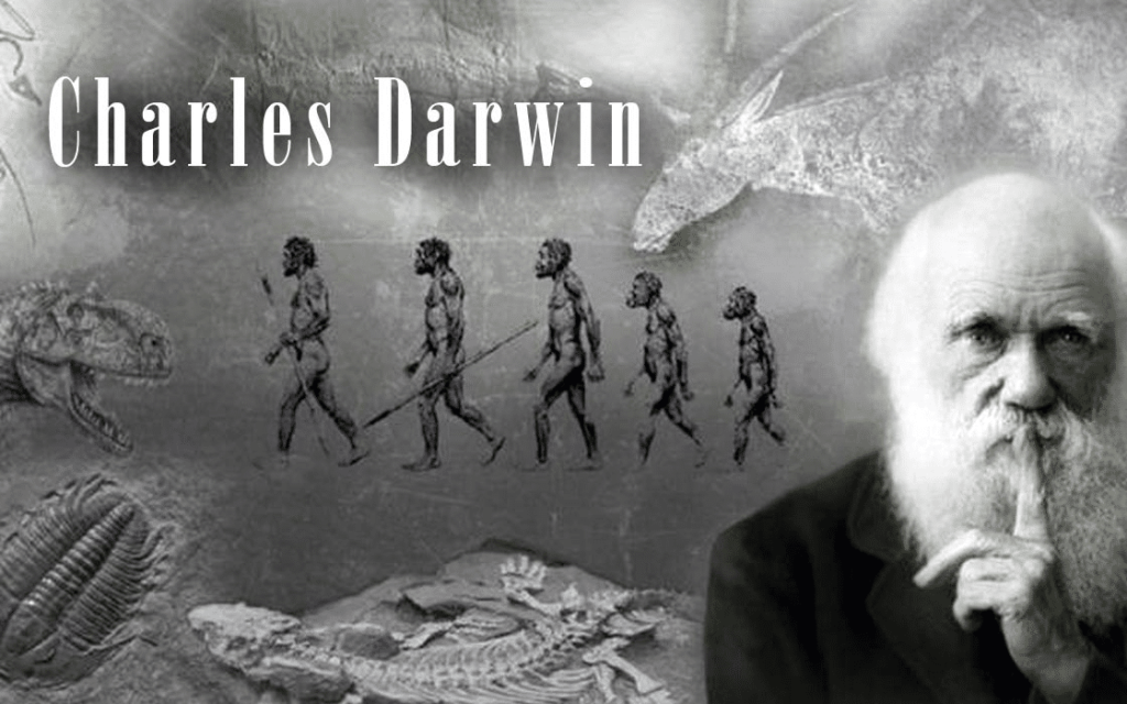 Charles Darwin's Theory of Evolution or Darwinian