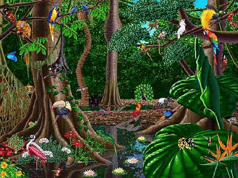 Rainforest ecosystems