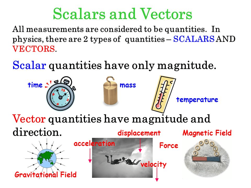 scalar and vector quantities