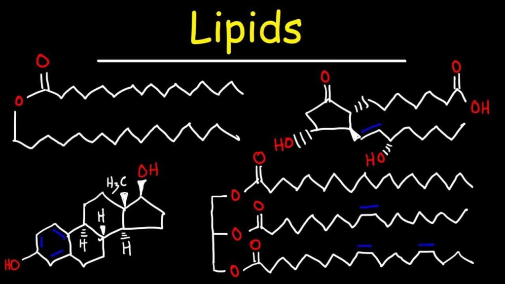 Lipid Chemistry