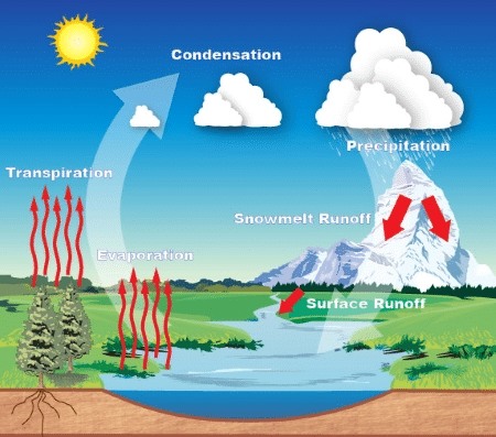 How Humidity Affects Weather