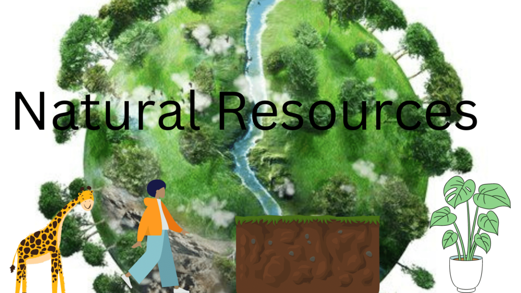 Natural Resource Preservation