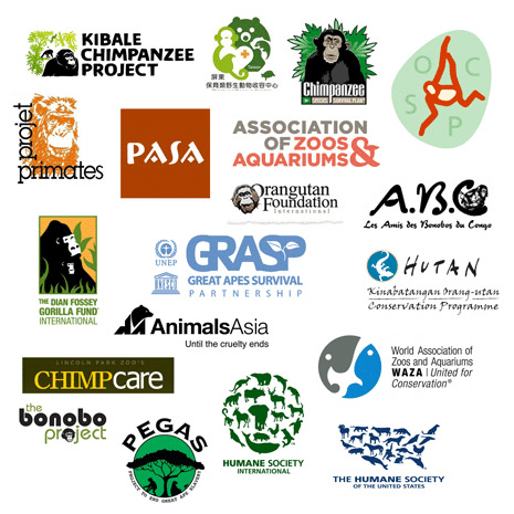 Supporting Animal Rights Organizations