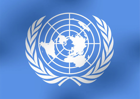 "United Nations: An Overview of International Cooperation"