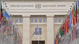 "United Nations: An Overview of International Cooperation"